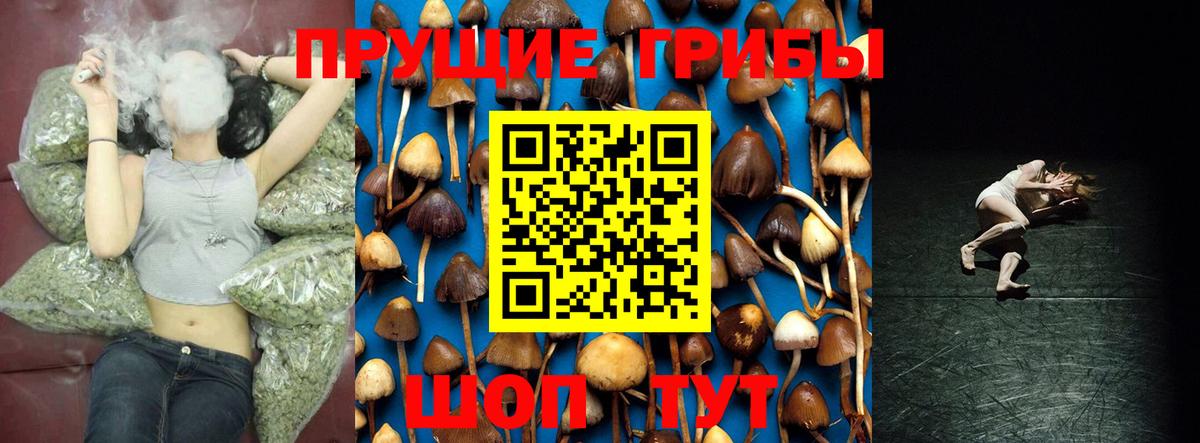 Зеленокумск  Псилоцибиновые грибы мухоморы  Вход с VPN 