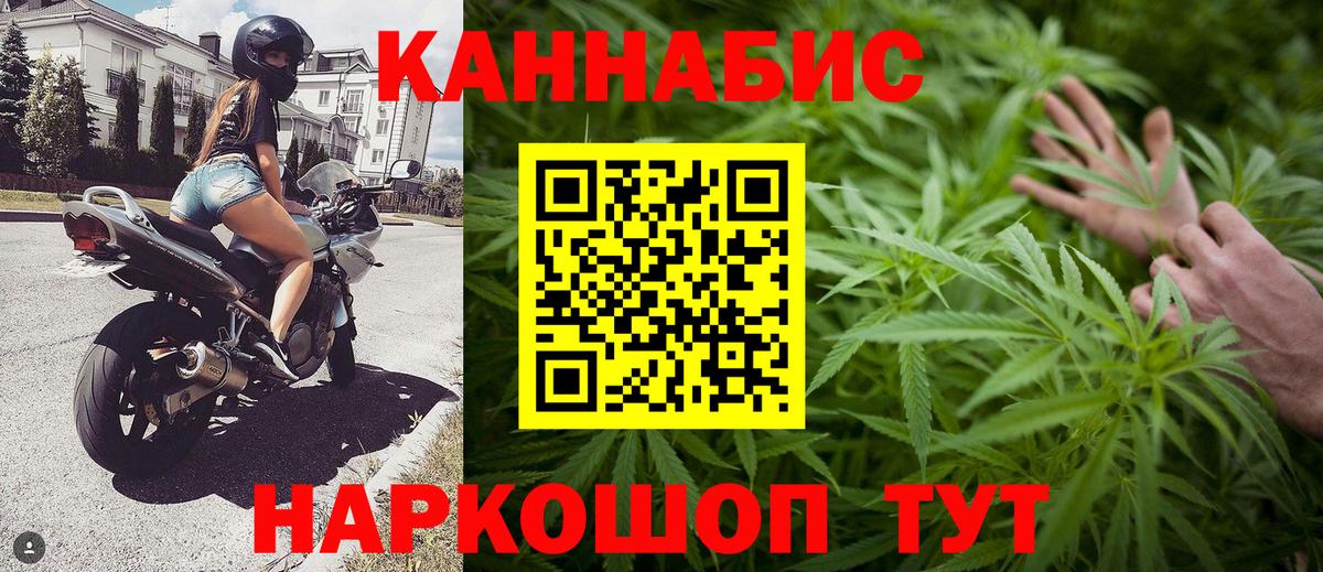 Конопля конопля  Бошки Шишки White Widow  Вход с VPN  Бошки марихуана ГИДРОПОН  Зеленокумск 